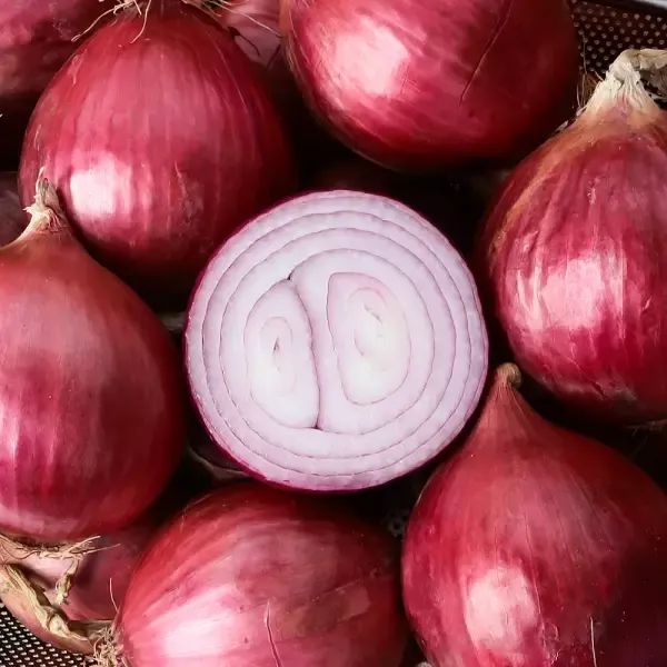 상품 이미지: 아삭 달큰한 국내산 무안 자색양파 5kg(중/대 혼합)