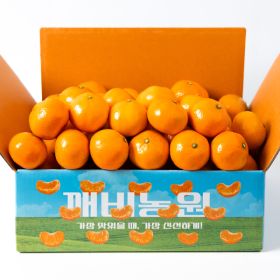 상품 이미지: (신선집중) 깨비농원 달콤새콤 제주 조생감귤 4.5kg 로얄과