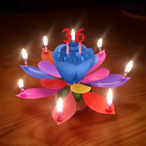 상품 이미지: 스토리빙 생일 축하 초 연꽃 멜로디 선물 파티 용품 + 숫자 토퍼 19p 세트