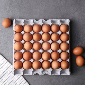 상품 이미지: 신선특란 30입 1800G