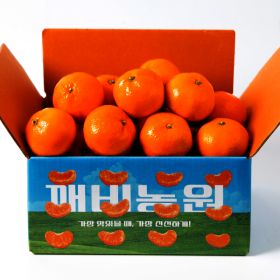 상품 이미지: (신선집중) 깨비농원 달콤새콤 제주 조생감귤 4.5kg 중대과