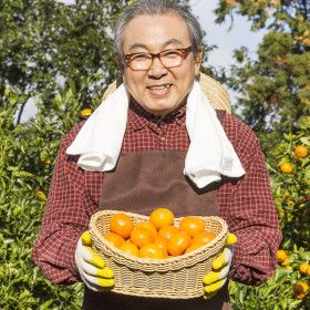 상품 이미지: (신선집중) 귤 감귤 저농약 타이벡 당도 11Brix이상조생감귤 4.5kg(2S-M)
