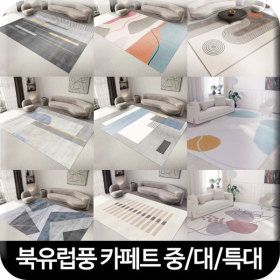 상품 이미지: 인테리어 북유럽풍 패턴 감성 카펫 먼지없는 세탁가능 사계절 거실 러그 카페트 중형