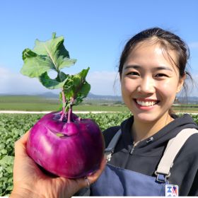 상품 이미지: 제주 산지직송 제주산 햇 콜라비 특품 10kg 오픈 특가 행사중