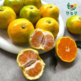 상품 이미지: 당도선별 제주 감귤 가정용 10kg 2S(소과) 노지감귤 산지직송 새콤달콤