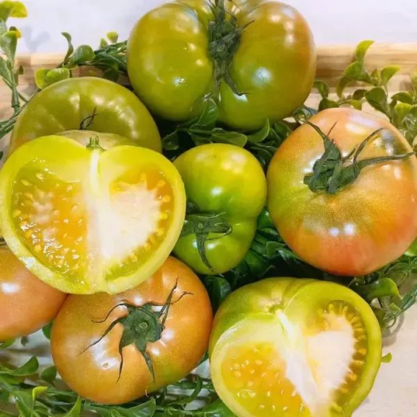 상품 이미지: 농장발송 부산 대저 토마토 쥬스용 못난이 2.5kg 랜덤과(L~3S)