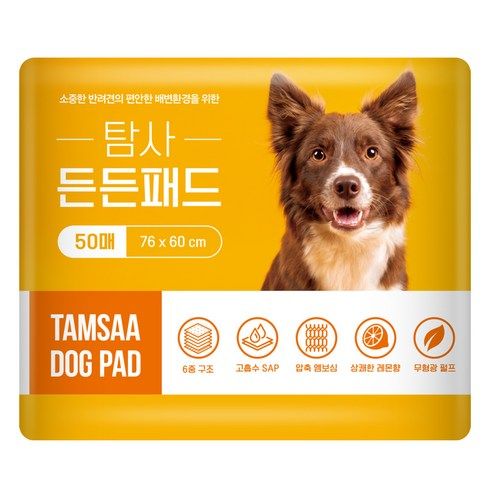 상품 이미지: 탐사 고흡수 든든패드 레몬향