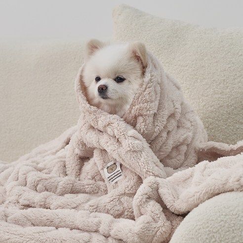 상품 이미지: 도그아이 반려동물 펫 꽈배기 담요