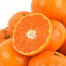 상품 이미지: 새콤달콤 제주 햇 노지 감귤 10kg (L-2L/중대과) 박스포함 귤