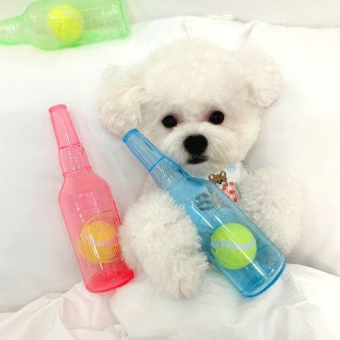 상품 이미지: 드루피 강아지 먼지없는 말랑말랑 튼튼한 맥주 장난감