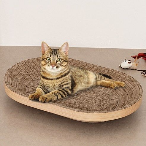 상품 이미지: 코멧 펫 고양이 쇼파 스크래쳐, 타원형, 1개