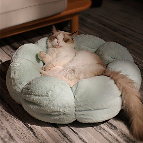 상품 이미지: 딩동펫 반려동물 해바라기 도넛 방석