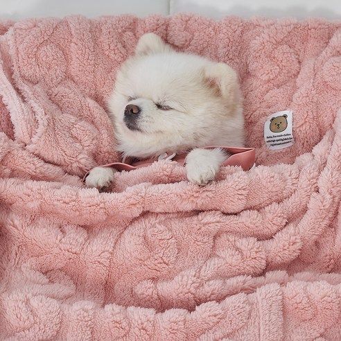 상품 이미지: 도그아이 반려동물 펫 꽈배기 담요