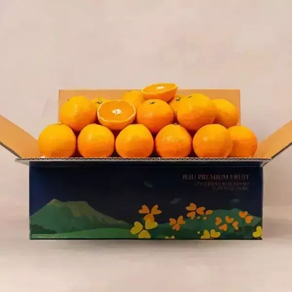 상품 이미지: 달콤한 제주 서귀포 고당도 노지 감귤 4.5kg S-M 로얄과