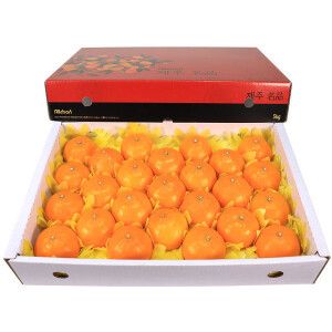 상품 이미지: 제주 천혜향(대) 5kg(24~27과)