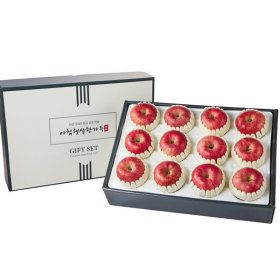 상품 이미지: 청송햇사과 선물세트  선물2호4kg 최상품 11~12과 -강력추천 빨간사과