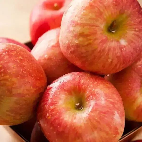 상품 이미지: 경북 햇사과 가정용 부사사과 4kg 중과 (17-20과)