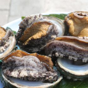 상품 이미지: (신선집중) 바다마을 특대활전복 9-11미 1kg 산소포장