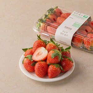 상품 이미지: 자연주의 무농약 한단딸기 500g/팩 (특)