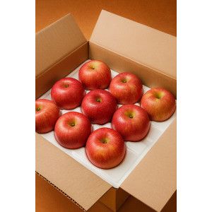 상품 이미지: 경북 부사사과 중과 5kg  고당도 선별 가정용