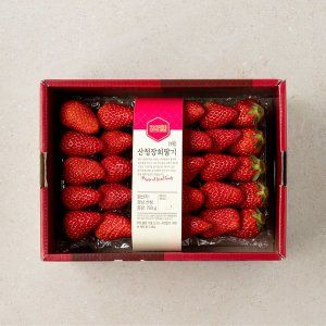 상품 이미지: 산청 장희 딸기 (대) 750g 팩