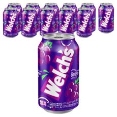 상품 이미지: 웰치스 그레이프맛, 355ml, 12개