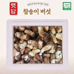 상품 이미지: 햇담 참송이버섯 B급이하 가정형 500g 1kg 농협에 납품하는 무농약 이천 참송이버섯 품질보장 농장 직접배송