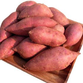 상품 이미지: 아빠의 마음 꿀고구마 10kg 5kg