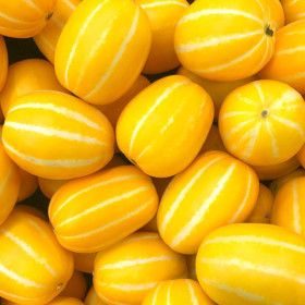 상품 이미지: (신선집중) 참외 산지직송 가정용 성주 꿀 참외 1.5kg(혼합과)