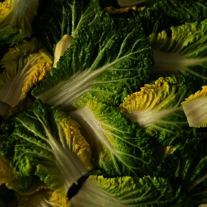 상품 이미지: (신선집중) 국내산 봄동 3kg / 봄 제철 봄동