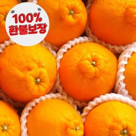 상품 이미지: 제주 게르마늄 한라봉 당도선별 과즙팡팡 가정용 혼합과 10kg