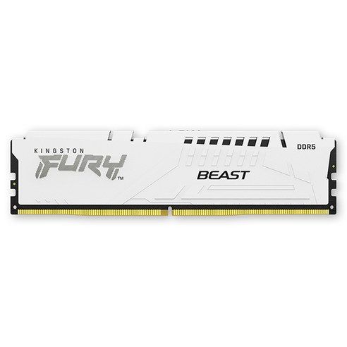 상품 이미지: [공식수입사] Kingston DDR5-5600 CL36 FURY Beast 화이트 16GB 코잇