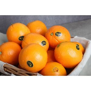 상품 이미지: 캘리포니아 오렌지 ㅁ Mpark 캘리포니아 네이블 오렌지 11kg (박스당 25과-최대