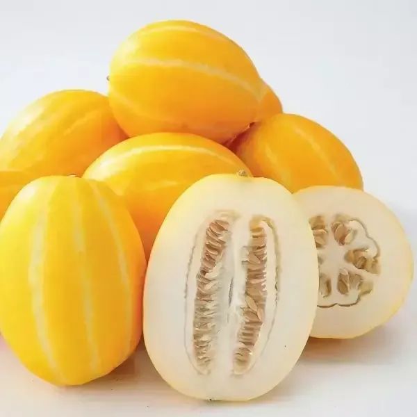 상품 이미지: 성주 햇살 담은 프리미엄 성주 꿀 참외 가정용 참외 3kg내외 [랜덤과/혼합과수]