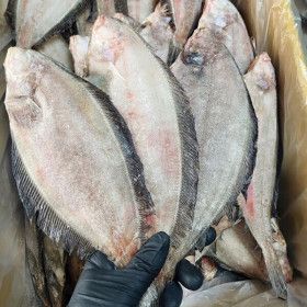 상품 이미지: 국산 반건조 물가자미 기름가자미 대 10미 (23cm 내외)