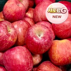 상품 이미지: (최대16brix) 대형마트납품 A급 부사사과 꿀사과 // 2kg(중소과) 10-12과내외 산지직송