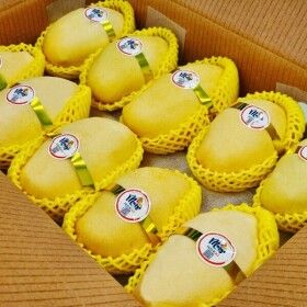 상품 이미지: 다인푸른농장 프리미엄 고당도 골드망고 4kg