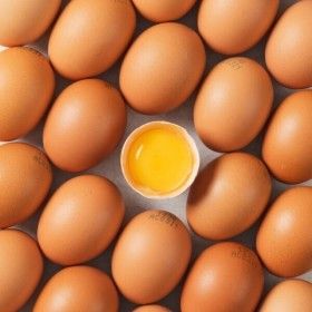 상품 이미지: 일상미당 난각번호 1번 무항생제 유기농 유정란 대란 40구(20구2세트) 1+1 할인