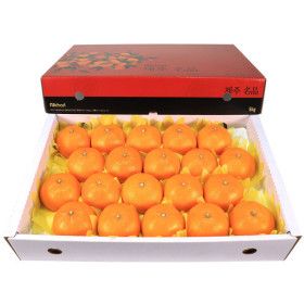 상품 이미지: 농장직송 제주도 고당도 천혜향 5kg 특대(18~22과) (17~23과)