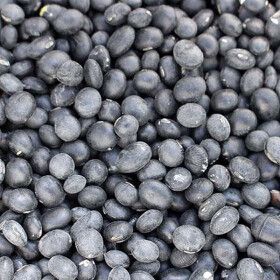 상품 이미지: (신선집중) 2025년 햇곡 국산 서리태 2kg 속청 검은콩 엄선선별