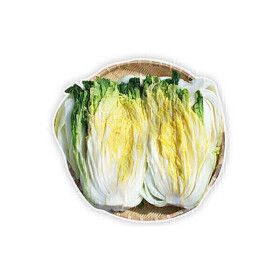 상품 이미지: 우리농장 절임배추 20kg 직접 재배 연중판매 당일발송 이중포장