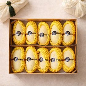 상품 이미지: (롯데백화점)태국 골드망고 특대과 8-12과 4kg내외