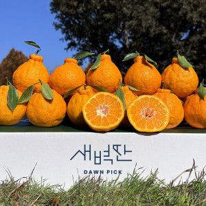 상품 이미지: (신선집중) 제주 서귀포 한라봉 혼합과 5kg