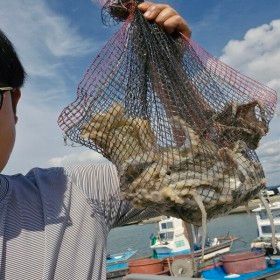 상품 이미지: 봄 알베기 국내산 활 주꾸미 1kg  쭈꾸미 샤브샤브 봄 주꾸미