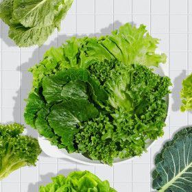 상품 이미지: (신선집중) GAP인증 유러피안 샐러드 5종 모둠 1kg (프릴아이스 카이피라 버터헤드 로메인 케일)