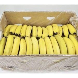 상품 이미지: 쥬스용 낱발 고당도 바나나 13kg