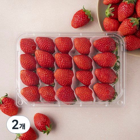 상품 이미지: 설향 딸기 대과, 500g, 2개