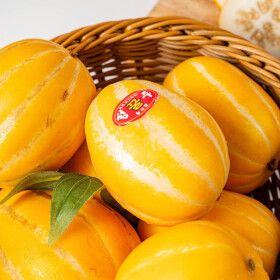 상품 이미지: 성주 고당도 꿀 참외 당도선별 2kg 소 중 대 혼합/특가 26년 첫수확/당일출고