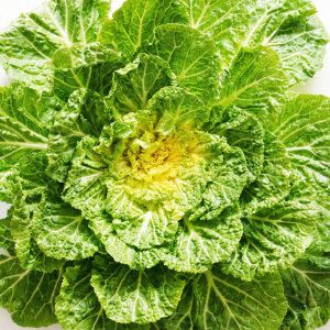 상품 이미지: (봄동비빔밥) 국내산 햇 봄동 배추 해풍맞는 진도 1kg