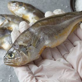 상품 이미지: (신선집중) 맘아픈 알뜰 진굴비 700g 30/40미 내외 2봉 총 1.4kg